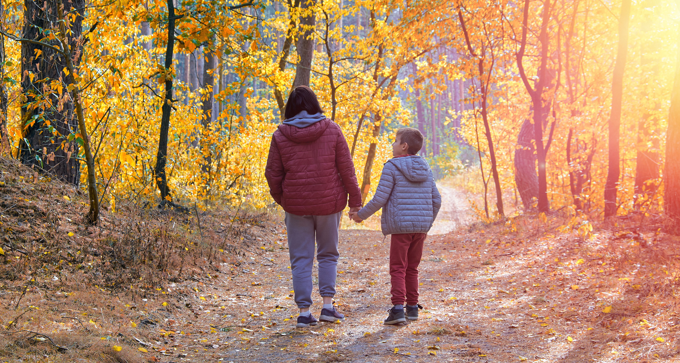 A mother and her young son hold hands as they stroll along a sunlit autumn forest path.