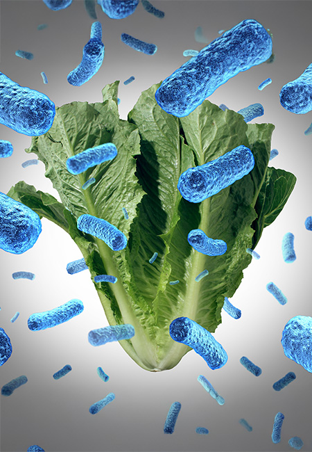 Romaine lettuce has been recalled due to an E. coli outbreak.