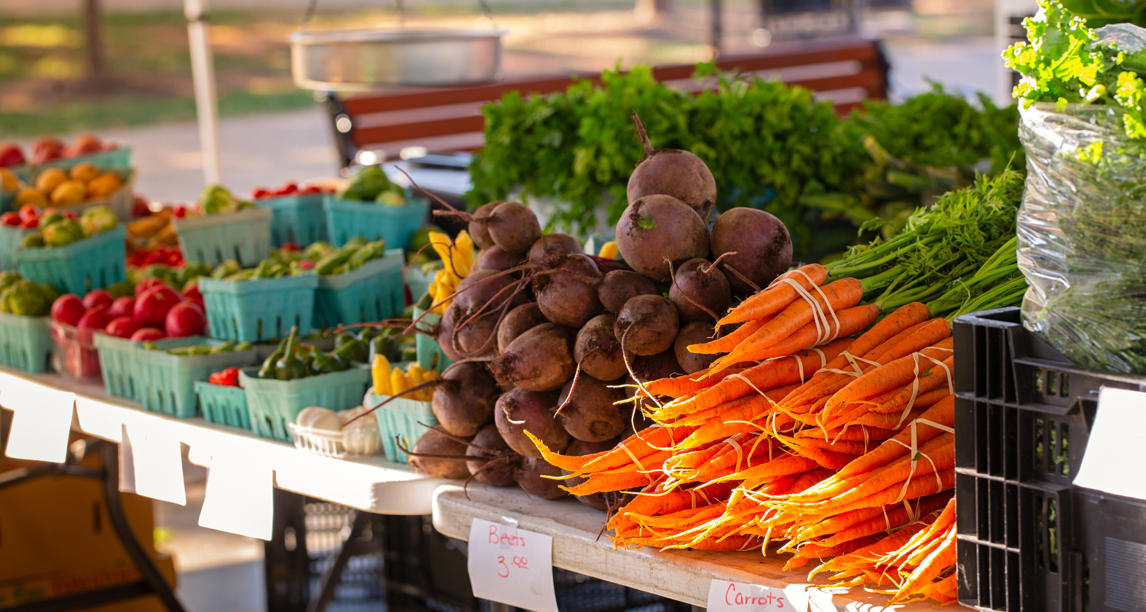 Bundles of carrots and beets at a local farmers market.